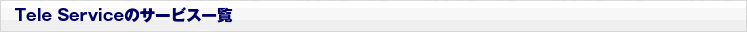 テレサービスのサービス一覧